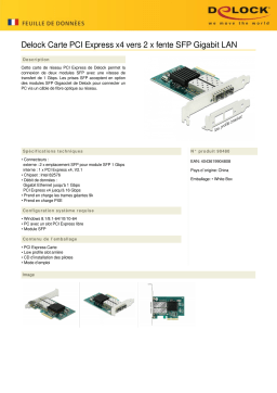 DeLOCK 90480 PCI Express x4 Card 2 x SFP Gigabit LAN i82576 Fiche technique