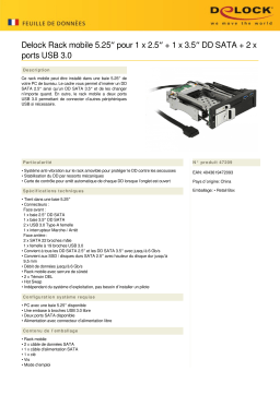 DeLOCK 47209 5.25″ Mobile Rack for 1 x 2.5″ + 1 x 3.5″ SATA HDD + 2 x USB 3.0 ports Fiche technique