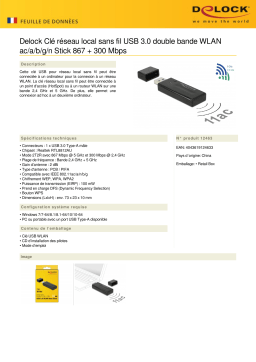 DeLOCK 12463 USB 3.0 Dual Band WLAN ac/a/b/g/n Stick 867 + 300 Mbps Fiche technique