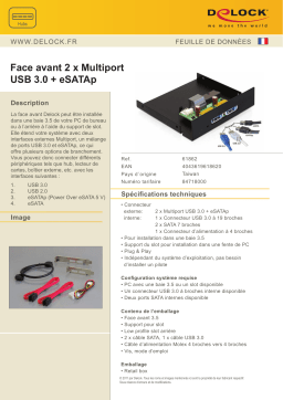 DeLOCK 61862 Front Panel 2 x Multiport USB 3.0 + eSATAp Fiche technique