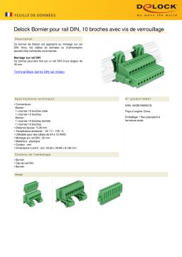 DeLOCK 65941 Terminal block set for DIN rail 10 pin Fiche technique