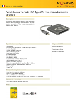 DeLOCK 91745 USB Type-C™ Card Reader for CFast 2.0 memory cards Fiche technique