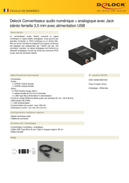 DeLOCK 62723 Audio Converter Digital > Analogue Fiche technique