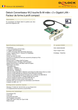 DeLOCK 63425 Converter M.2 Key B+M male > 2 x Gigabit LAN – Low Profile Form Factor Fiche technique