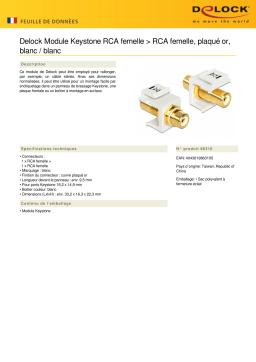 DeLOCK 86310 Keystone Module RCA female > RCA female gold plated white / white Fiche technique