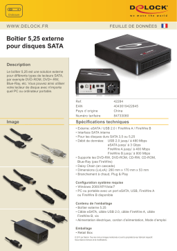 DeLOCK 42284 5.25 External Enclosure for SATA drives > eSATA / USB 2.0 / FW- A / FW- B Fiche technique