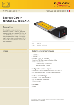 DeLOCK 66218 Express Card > 1x USB 2.0 + 1x eSATA Fiche technique
