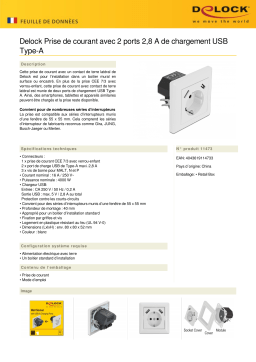 DeLOCK 11473 Wall Socket Fiche technique