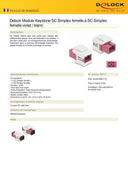 DeLOCK 86717 Keystone Module SC Simplex female to SC Simplex female violet / white Fiche technique