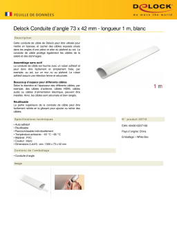 DeLOCK 20716 Corner Duct self-adhesive 73 x 42 mm - length 1 m white Fiche technique