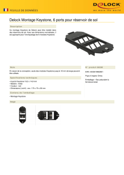 DeLOCK 86280 Keystone Mounting 6 Port for floor tank Fiche technique