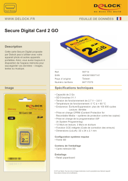 DeLOCK 55714 Secure Digital Card 2 GB Fiche technique