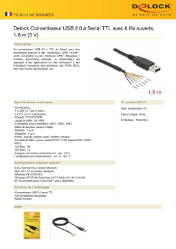 DeLOCK 83117 USB 2.0 to Serial TTL Converter Fiche technique