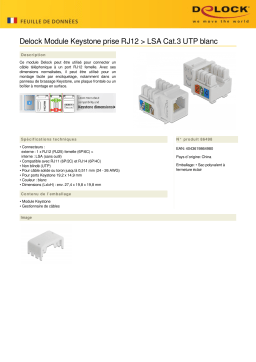 DeLOCK 86498 Keystone Module RJ12 jack > LSA Cat.3 UTP white Fiche technique