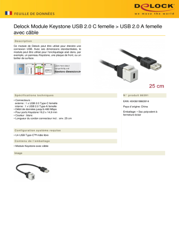 DeLOCK 86391 Keystone Module USB 2.0 C female > USB 2.0 A female Fiche technique | Fixfr