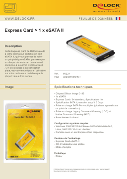 DeLOCK 66224 Express Card > 1 x eSATA 3 Gb/s Fiche technique