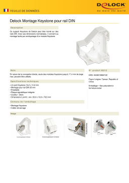 DeLOCK 86212 Keystone Mounting for DIN rail Fiche technique