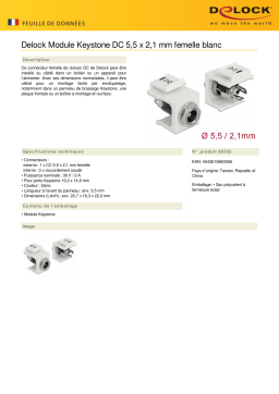 DeLOCK 86355 Keystone Module DC 5.5 x 2.1 mm female white Fiche technique