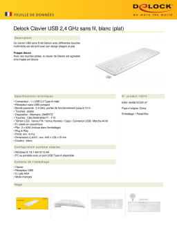 DeLOCK 12014 USB Keyboard 2.4 GHz wireless white (flat) Fiche technique