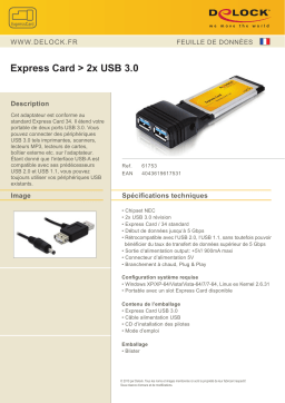 DeLOCK 61753 Express Card > 2x USB 3.0 Fiche technique