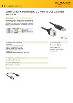 DeLOCK 86382 Keystone Module USB 2.0 C female > USB 2.0 A male Fiche technique