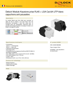 DeLOCK 86396 Keystone Module RJ45 jack > LSA Cat.6A UTP white dust cover Fiche technique