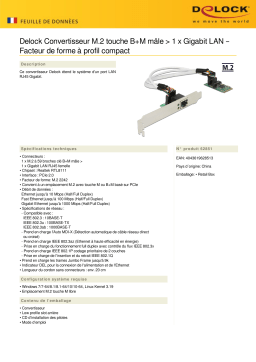 DeLOCK 62851 Converter M.2 Key B+M male > 1 x Gigabit LAN – Low Profile Form Factor Fiche technique