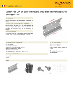 DeLOCK 66083 DIN Rail Stainless Steel Fiche technique