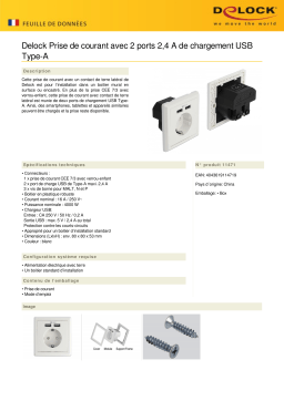 DeLOCK 11471 Wall Socket Fiche technique