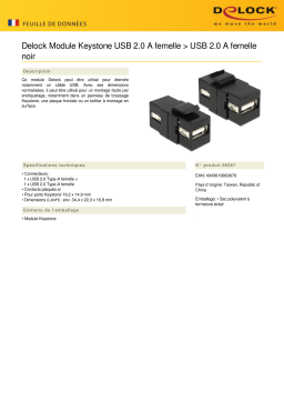 DeLOCK 86367 Keystone Module USB 2.0 A female > USB 2.0 A female black Fiche technique