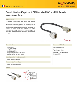 DeLOCK 86328 Keystone Module HDMI female 250° > HDMI female Fiche technique