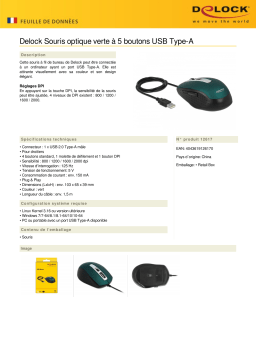 DeLOCK 12617 Optical 5-button Mouse USB Type-A green Fiche technique