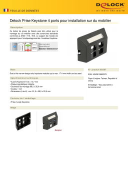 DeLOCK 86297 Keystone Outlet 4 Port for furniture installation Fiche technique