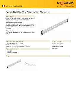 DeLOCK 66171 DIN Rail 35 x 7.5 mm (19") Aluminium  Fiche technique