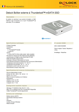 DeLOCK 42509 External Enclosure Thunderbolt™ > mSATA SSD Fiche technique