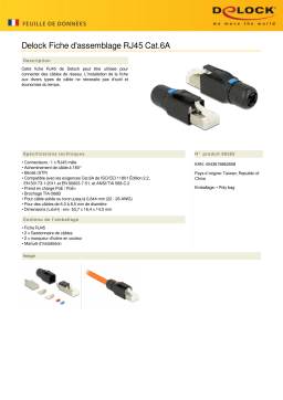 DeLOCK 86265 RJ45 Plug field assembly Cat.6A Fiche technique