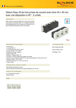 DeLOCK 81323 Easy 45 Grounded Power Socket 3-way Fiche technique