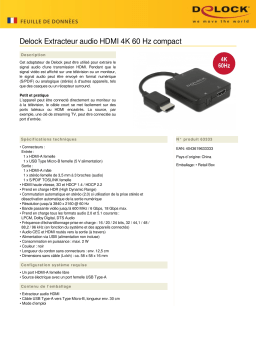 DeLOCK 63333 HDMI Audio Extractor 4K 60 Hz compact Fiche technique