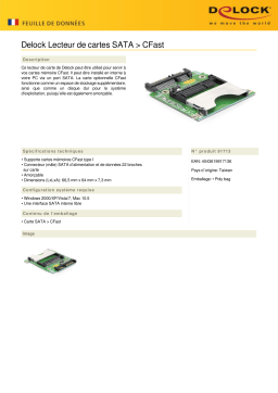 DeLOCK 91713 Card Reader SATA > CFast Fiche technique