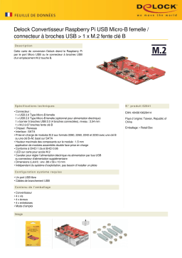 DeLOCK 62841 Converter Raspberry Pi USB Micro-B female / USB pin header > 1 x M.2 key B slot Fiche technique