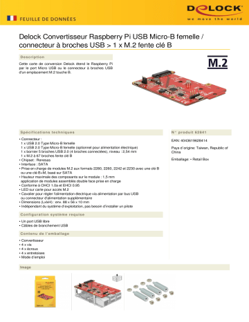 DeLOCK 62841 Converter Raspberry Pi USB Micro-B female / USB pin header > 1 x M.2 key B slot Fiche technique | Fixfr