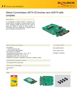 DeLOCK 61881 Converter SATA 22 pin to mSATA full size Fiche technique