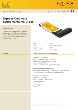 DeLOCK 61793 Express Card to CFast Memory Cards Fiche technique