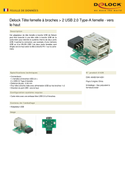 DeLOCK 41429 USB Pin Header female > 2 x USB 2.0 Type-A female - up Fiche technique