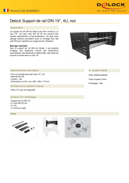 DeLOCK 42632 19″ DIN Rail Bracket 4U, black Fiche technique