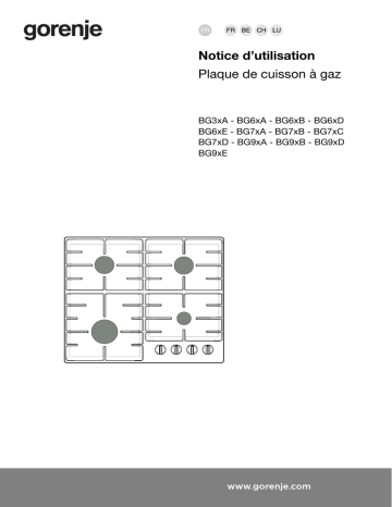 Manuel du propriétaire | Gorenje GW641X Table de cuisson à gaz Manuel utilisateur | Fixfr