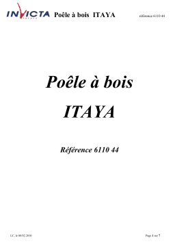 Invicta Itaya Manuel du propriétaire