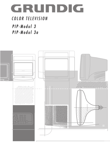 Grundig MODUL PIP 3A Manuel du propriétaire | Fixfr