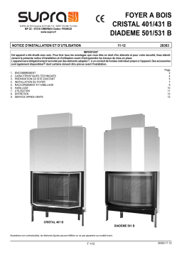 Supra DIADEME 501 B-N Manuel utilisateur