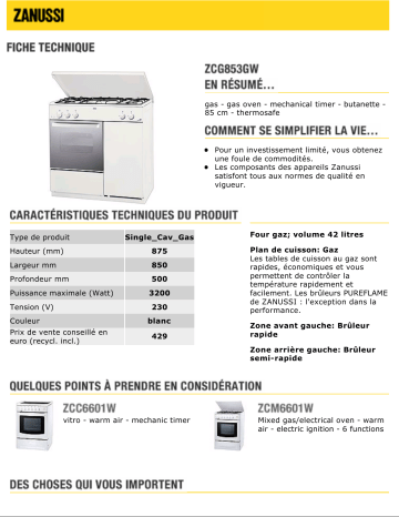 Zanussi ZCG853GW Manuel du propriétaire | Fixfr